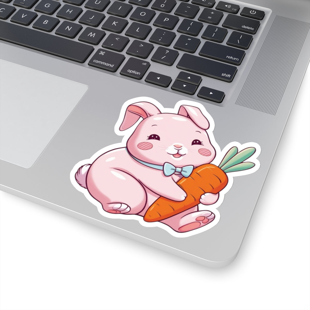 Cute Kawaii Bunny Holding Carrot