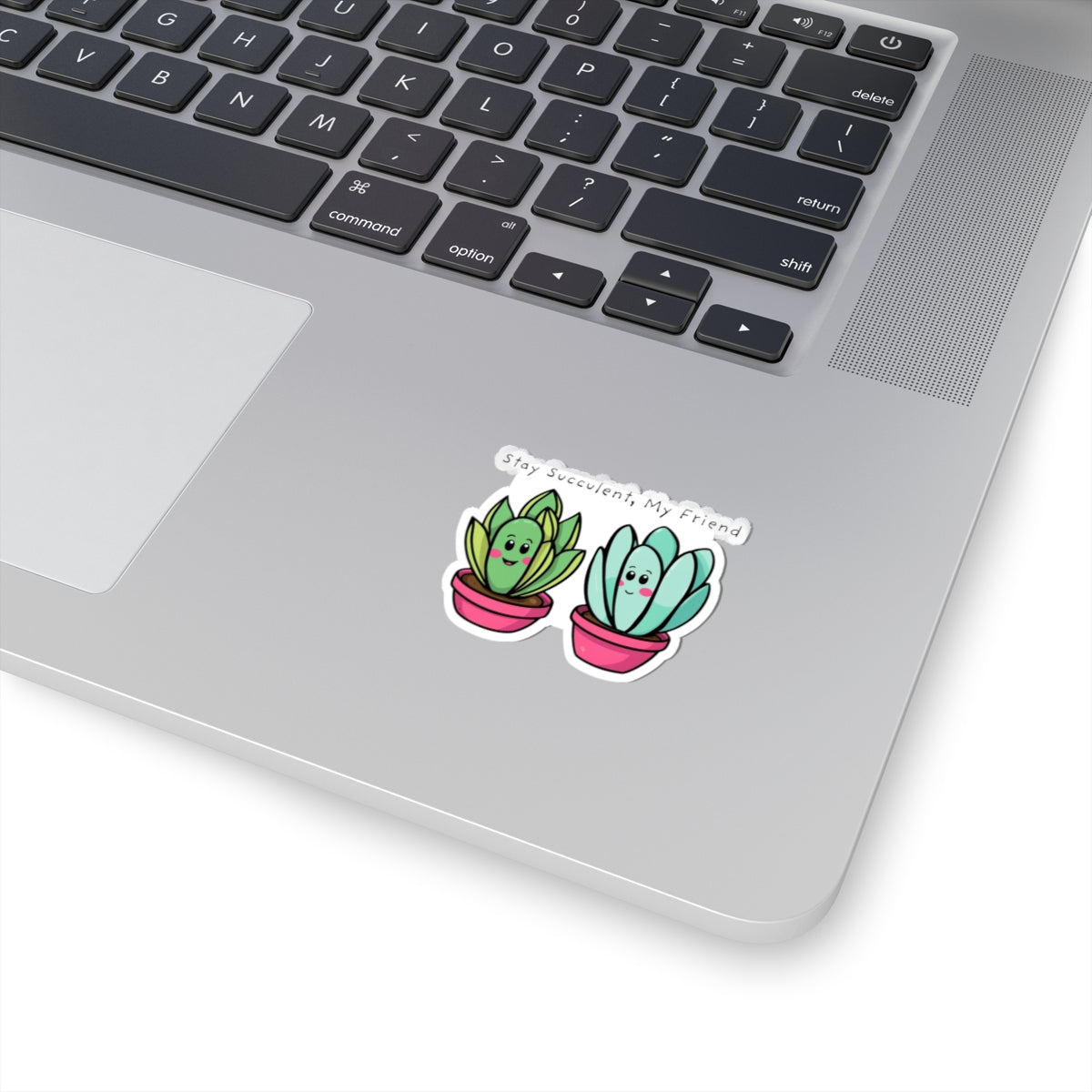 Stay Succulent, My Friend- Succulent Sticker