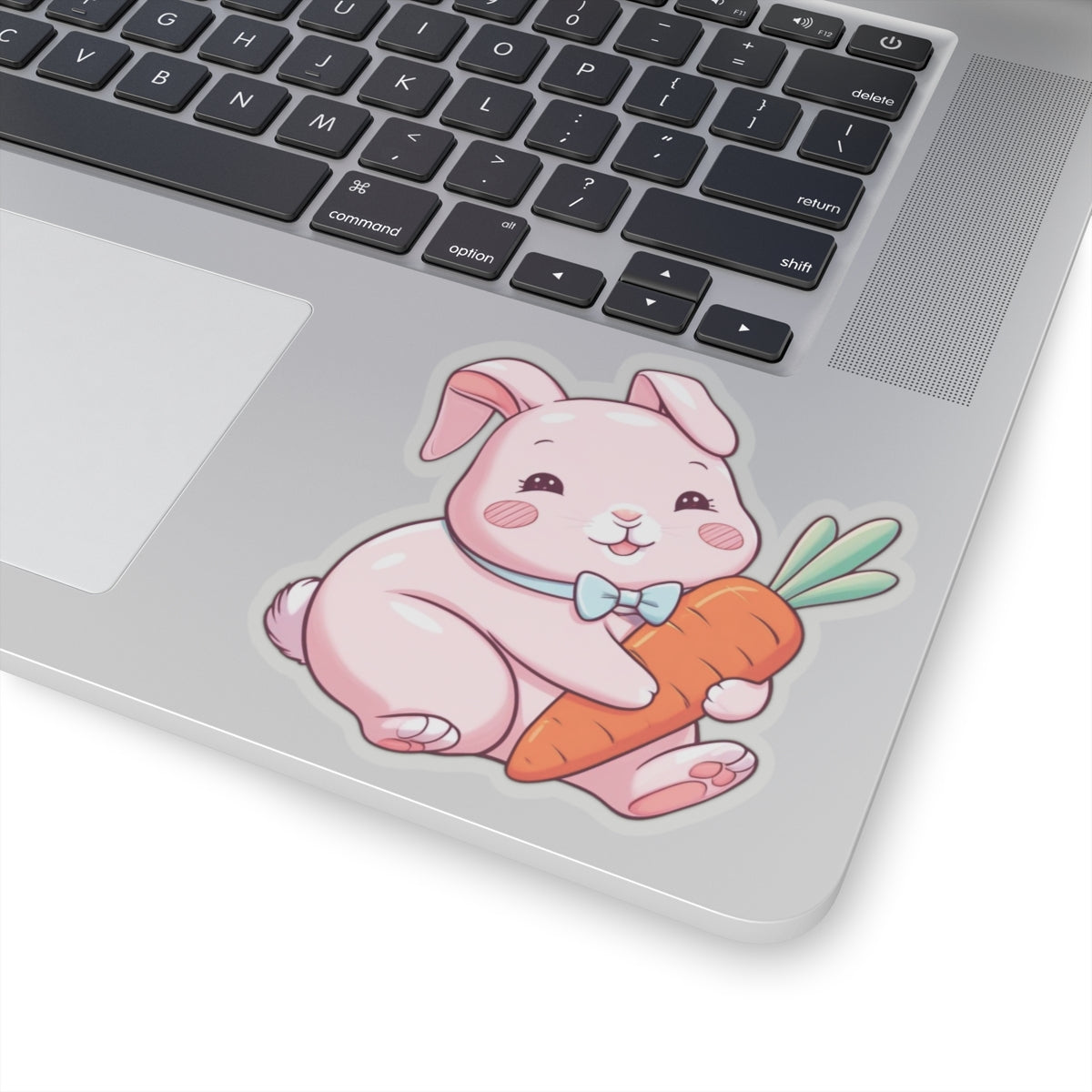 Cute Kawaii Bunny Holding Carrot