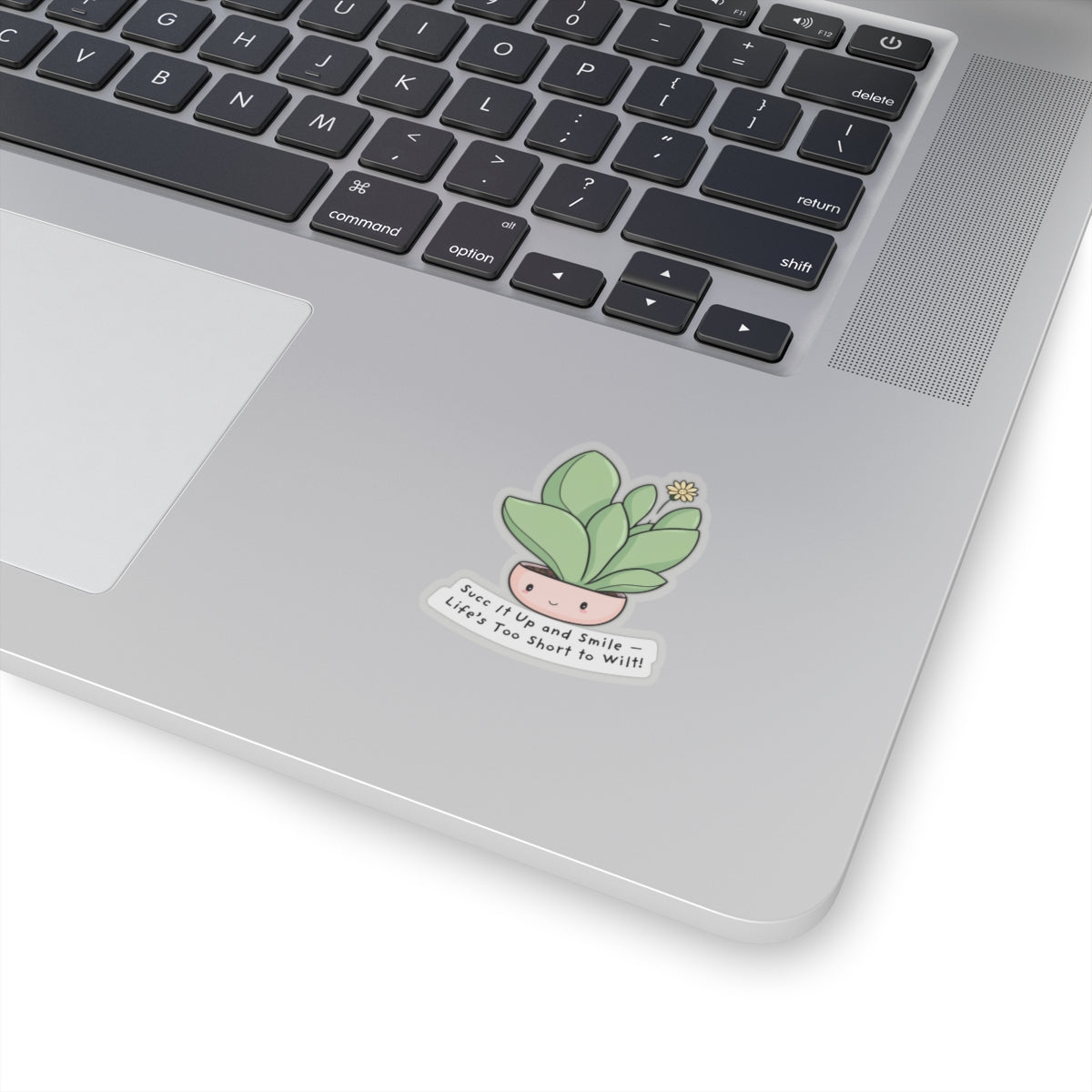 Succulent Stickers - Succ It Up and Smile - Life’s Too Short to Wilt