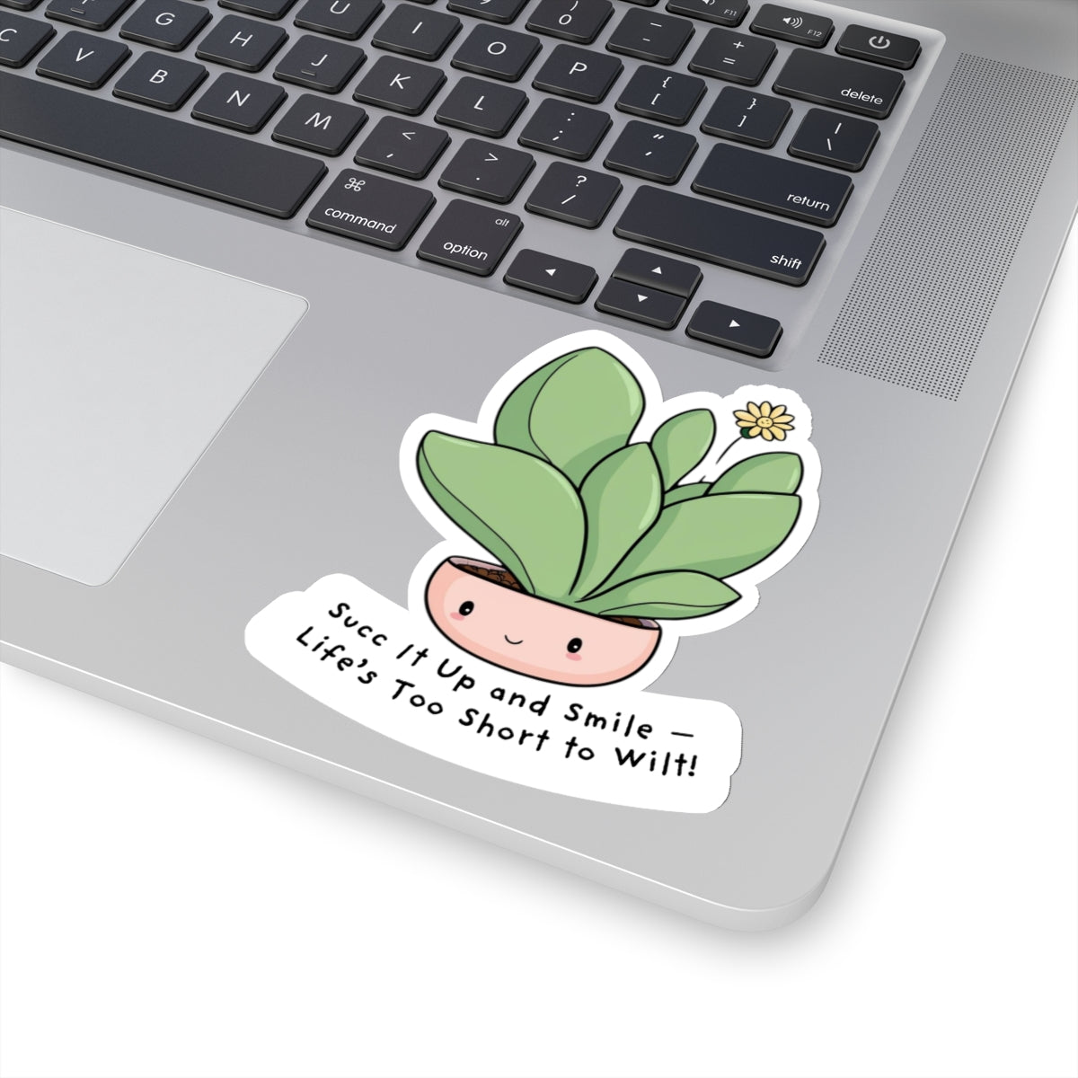 Succulent Stickers - Succ It Up and Smile - Life’s Too Short to Wilt