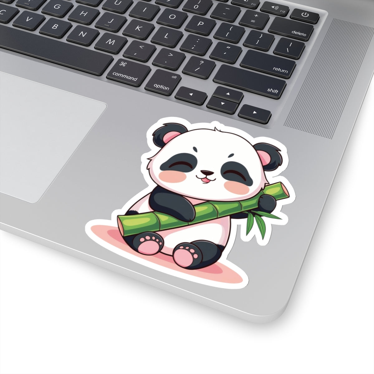 Sleepy Kawaii Panda Holding Bamboo