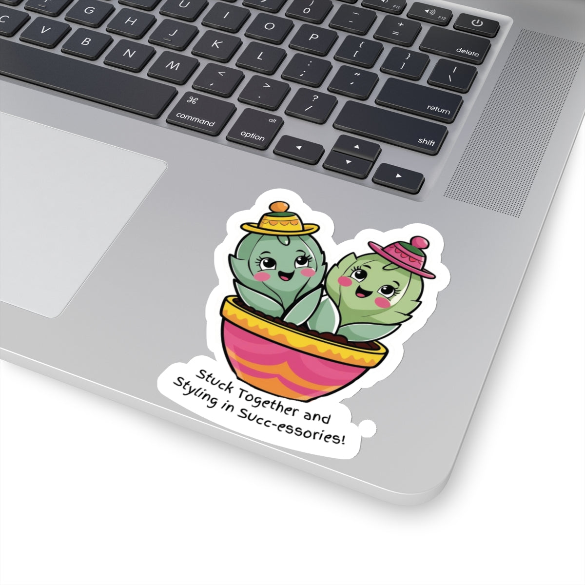 Succulent Stickers - Stuck Together and Styling