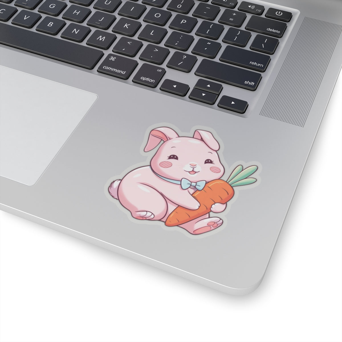 Cute Kawaii Bunny Holding Carrot