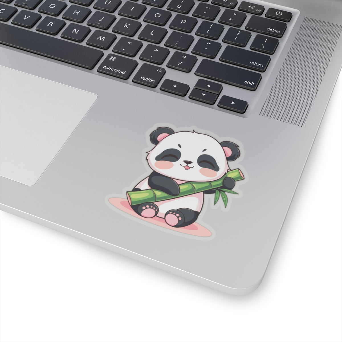 Sleepy Kawaii Panda Holding Bamboo